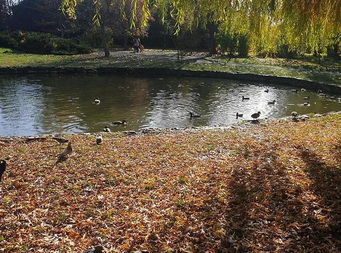 Premium 2 * לבוב