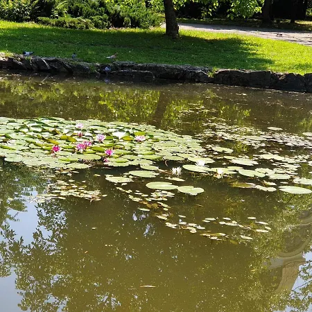 Premium 2 Апартаменти *